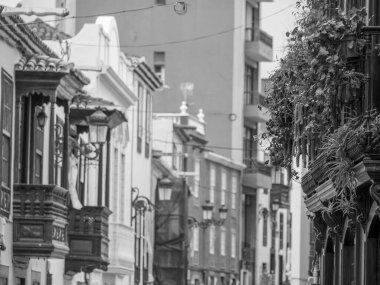 İspanyol la palma Adası