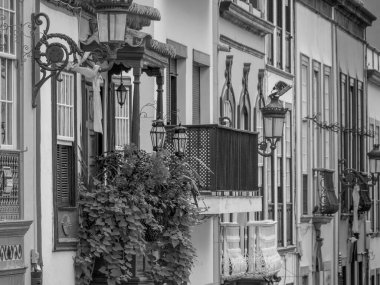 İspanyol la palma Adası