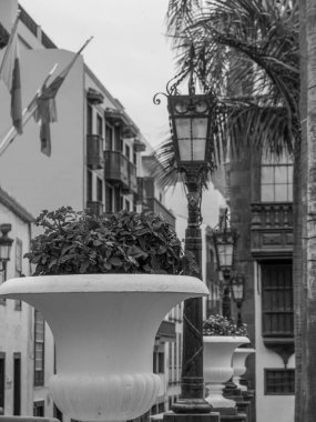 İspanyol la palma Adası