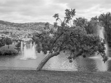 Portekiz 'in Madeira adası
