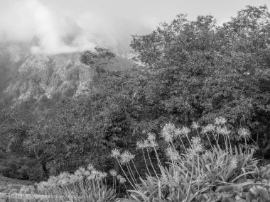 Portekiz 'in Madeira adası