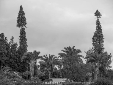 Portekiz 'in Madeira adası
