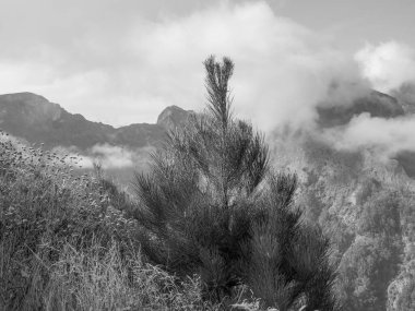 Portekiz 'in Madeira adası