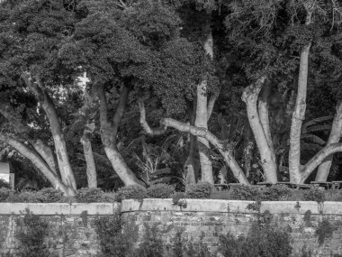 Portekiz 'in Madeira adası