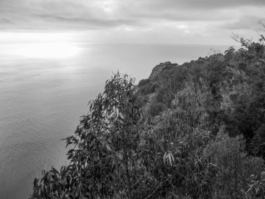 Portekiz 'in Madeira adası