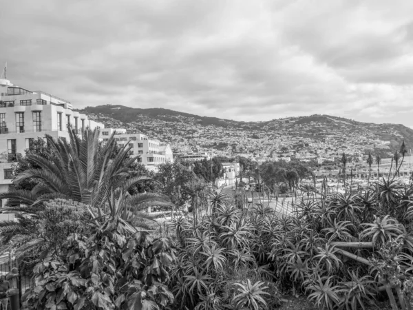 Ilha Portugesa Madeira — Fotografia de Stock