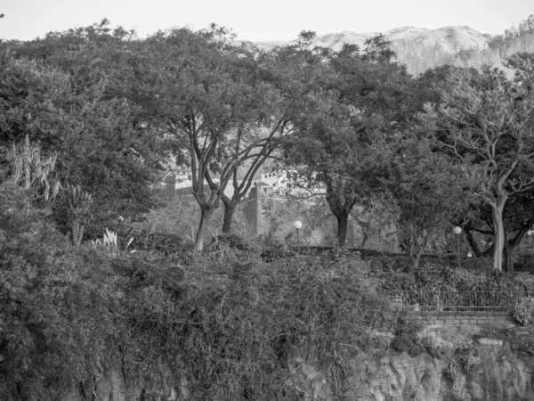 Isola Portoghese Madeira — Foto Stock