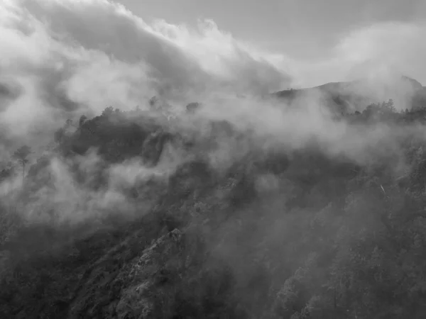 Portekiz Madeira Adası — Stok fotoğraf