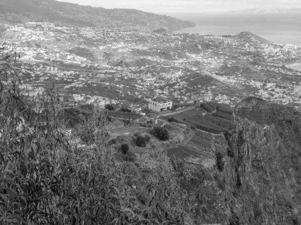 Portekiz 'in Madeira adası