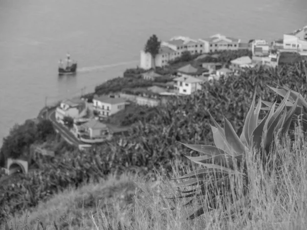 Portugese Island Madeira — Stock Photo, Image