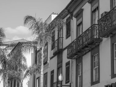 Portekiz 'in Madeira adası