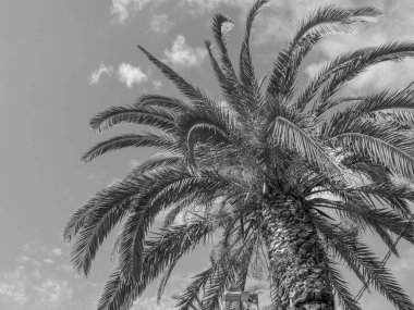 Portekiz 'in Madeira adası