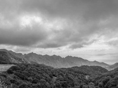 İspanya 'nın tenerife adası