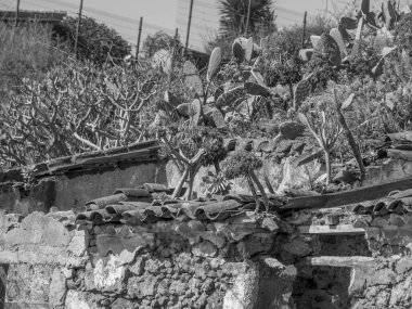 İspanya 'nın tenerife adası