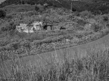 İspanya 'nın tenerife adası