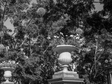 İspanya 'nın tenerife adası