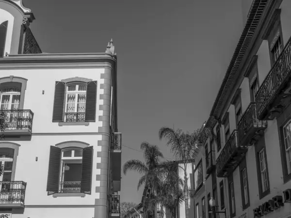 Ilha Portugesa Madeira — Fotografia de Stock