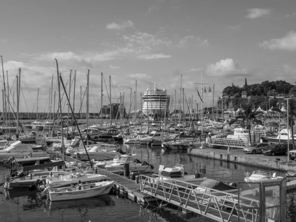 Het Portugese Eiland Madeira — Stockfoto