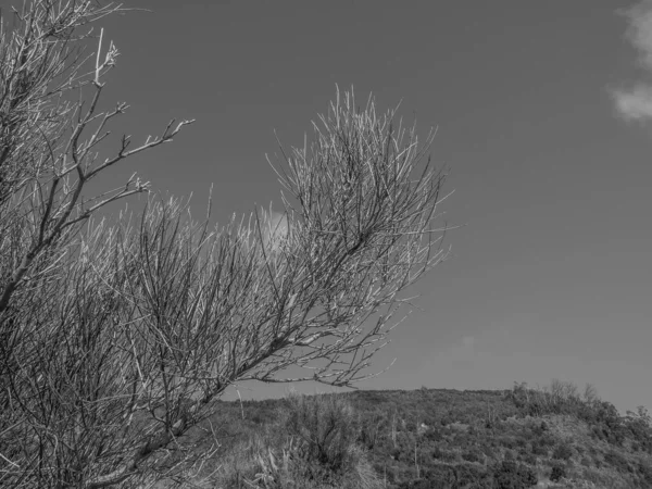 Isola Spagnola Tenerife — Foto Stock