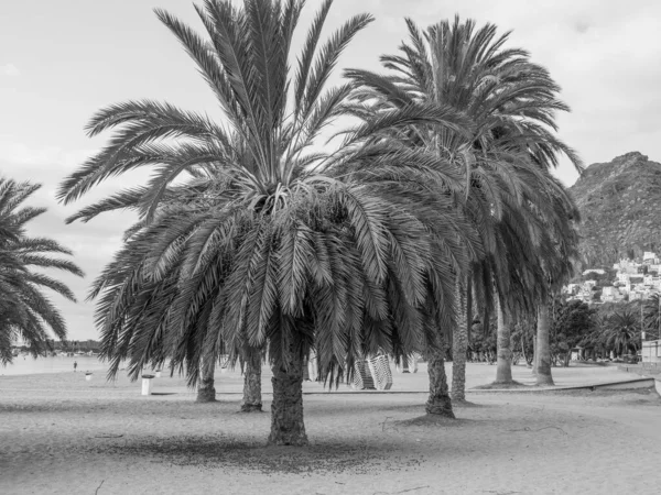 Tenerife Spanyol Szigete — Stock Fotó