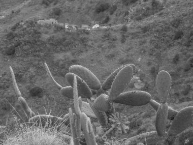 İspanya 'nın tenerife adası