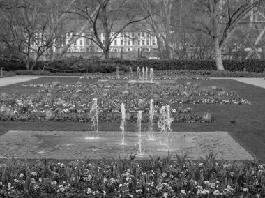 Ren nehrindeki Koblenz şehri.