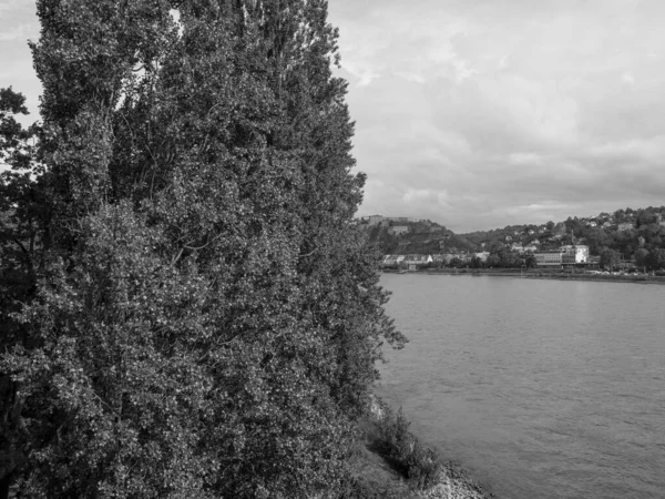 Die Stadt Koblenz Rhein — Stockfoto