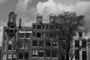 Hollanda 'daki Amsterdam şehri.