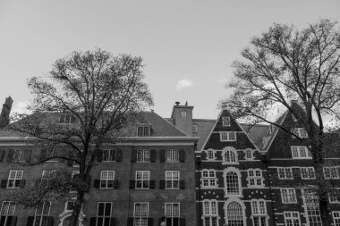 Hollanda 'daki Amsterdam şehri.