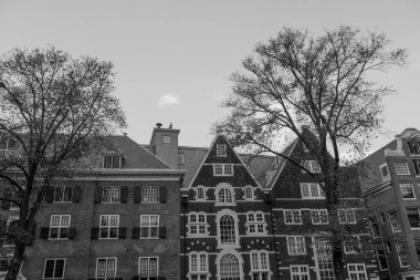 Hollanda 'daki Amsterdam şehri.