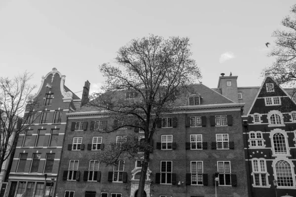 Hollanda 'daki Amsterdam şehri.