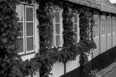 Bornholm Adası 'ndaki küçük Svaneke şehri.