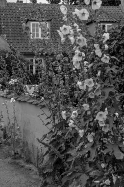 Bornholm Adası 'ndaki küçük Svaneke şehri.