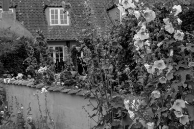 Bornholm Adası 'ndaki küçük Svaneke şehri.