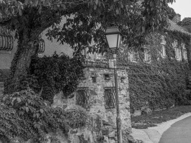 Avusturya 'daki Danube nehrinin kıyısındaki küçük Duernstein şehri.