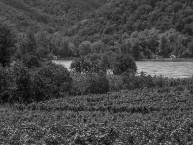 Avusturya 'daki Danube nehrinin kıyısındaki küçük Duernstein şehri.