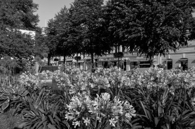 Finlandiya 'daki Helsinki şehri