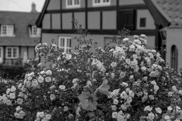 Pequena Cidade Svaneke Ilha Bornholm — Fotografia de Stock