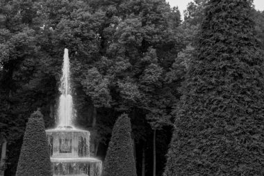 Rusya 'daki Saint Petersburg şehri.