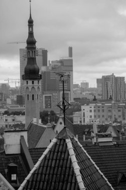 Estonya 'daki Tallinn şehri.