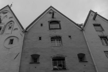 Estonya 'daki Tallinn şehri.