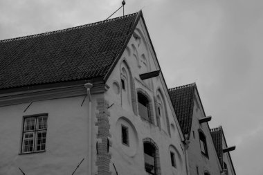 Estonya 'daki Tallinn şehri.