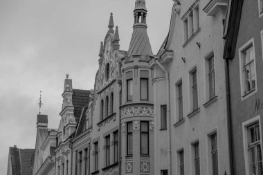 Estonya 'daki Tallinn şehri.