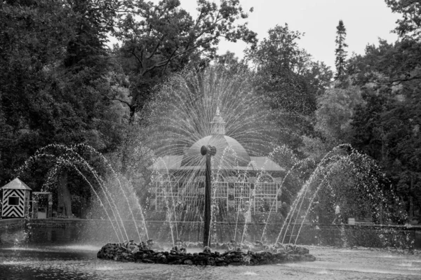 Ville Saint Pétersbourg Russie — Photo