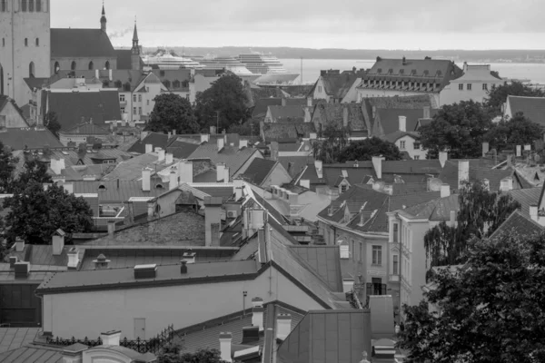 Ciudad Tallinn Estonia —  Fotos de Stock