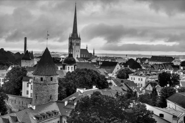 Estonya Daki Tallinn Şehri — Stok fotoğraf