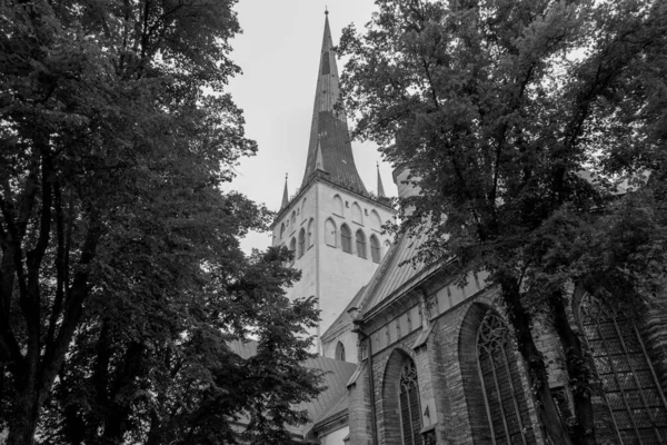 Ciudad Tallinn Estonia — Foto de Stock