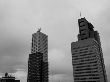 Hollanda Rotterdam şehir