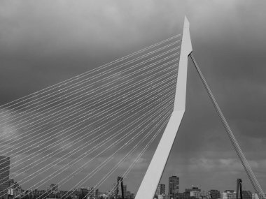 Hollanda Rotterdam şehir