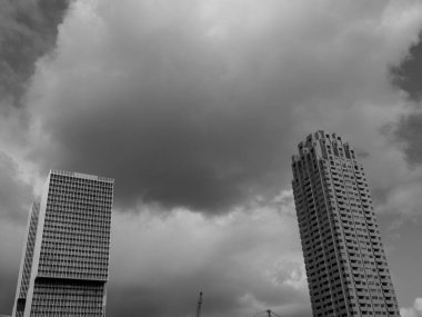 Hollanda Rotterdam şehir